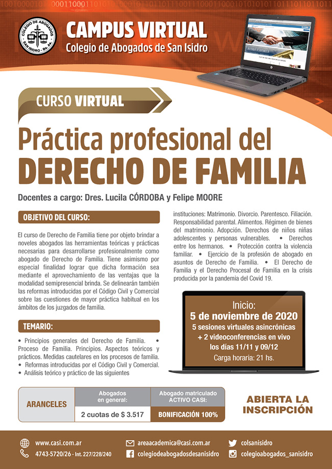 Práctica profesional del Derecho de Familia. Curso virtual